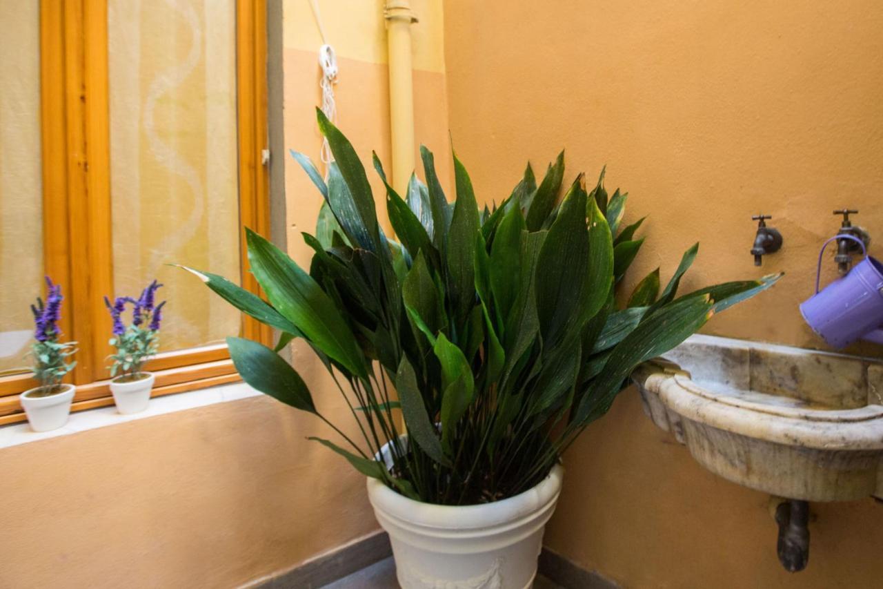 Charming Fiesolana Apartment In Heart Of Florence Buitenkant foto